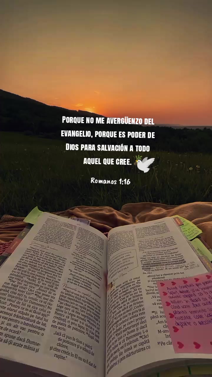 @🦋 johanna 💜 🌱
