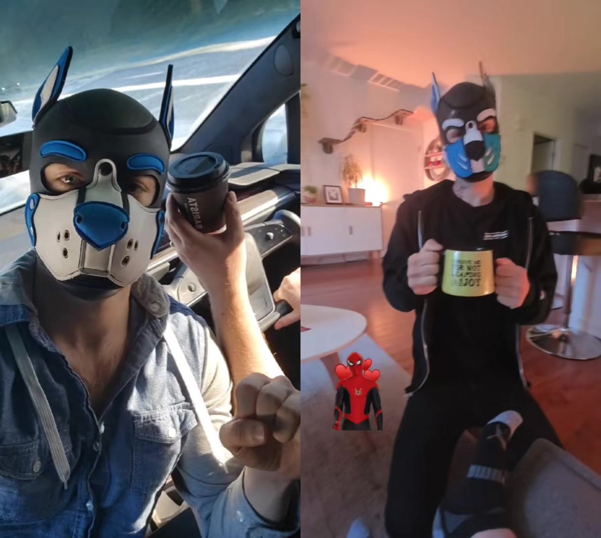 @puptosa