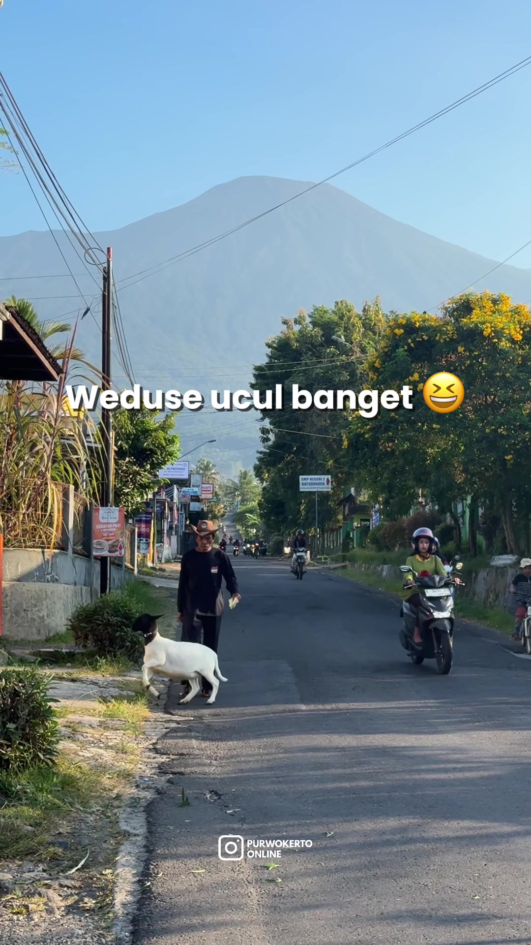 @Purwokerto Online
