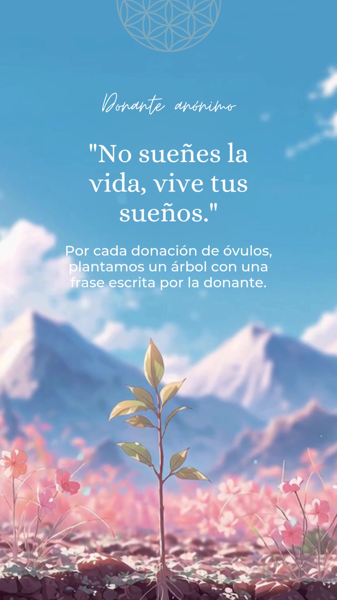 @Yo Soy Flora