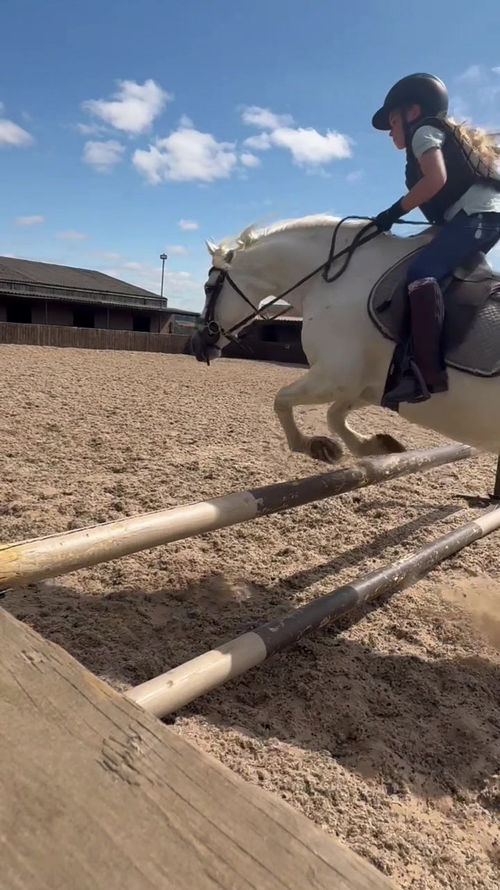 @LottiesHorseAdventures🦄🐴