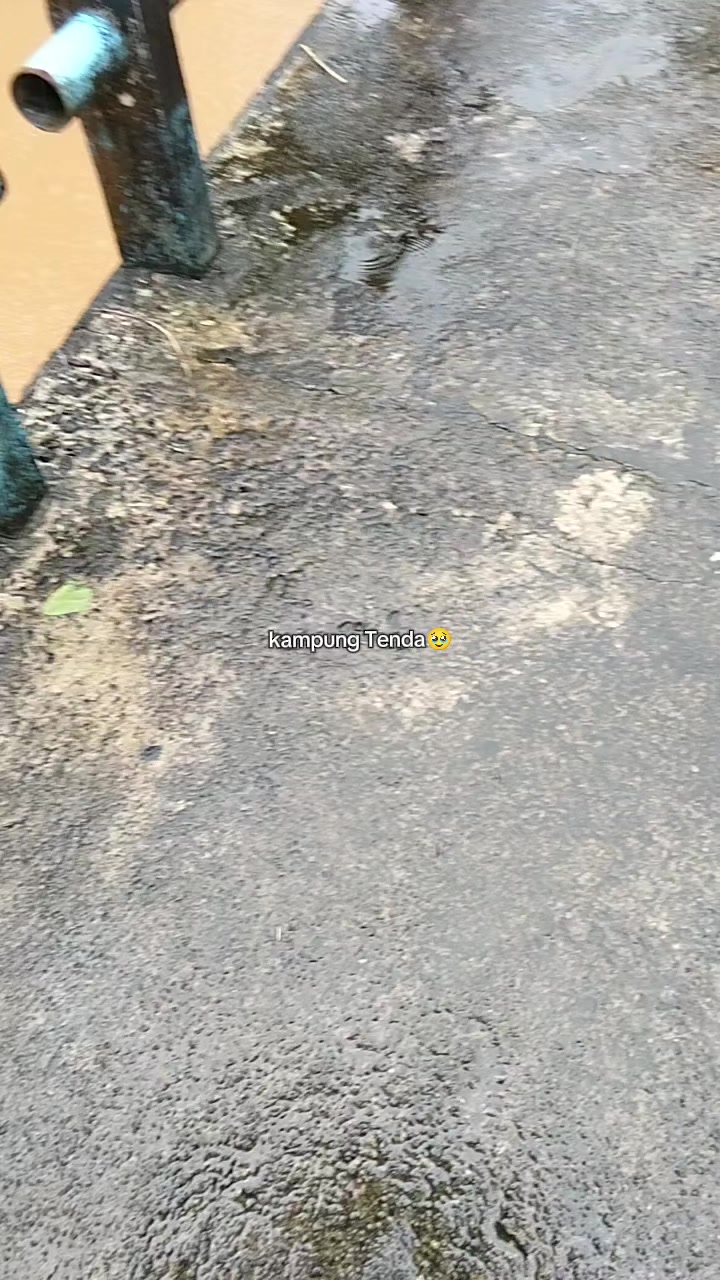 @Clemen20