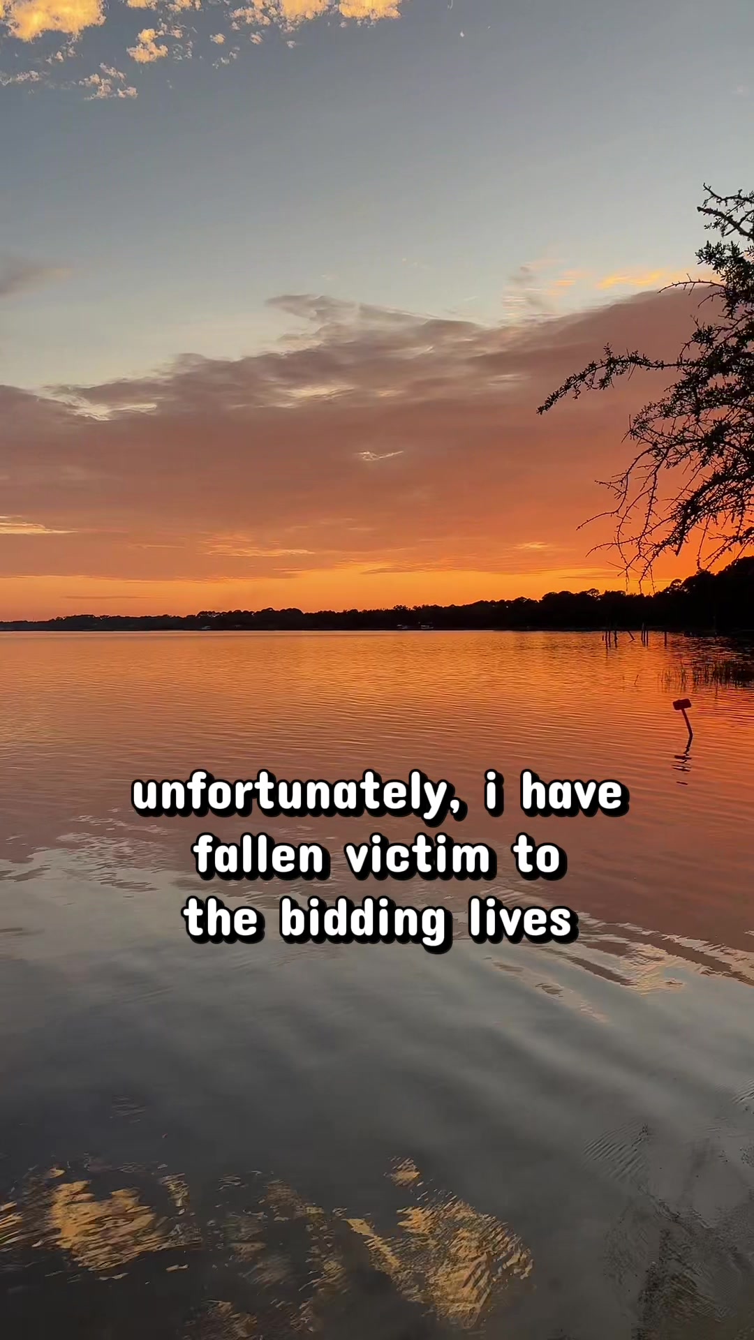 @T💗