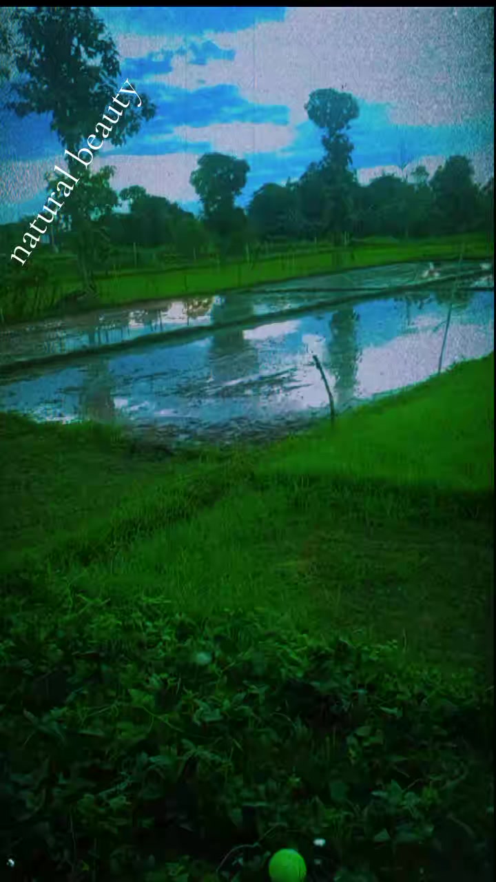 @rishika kushvaha