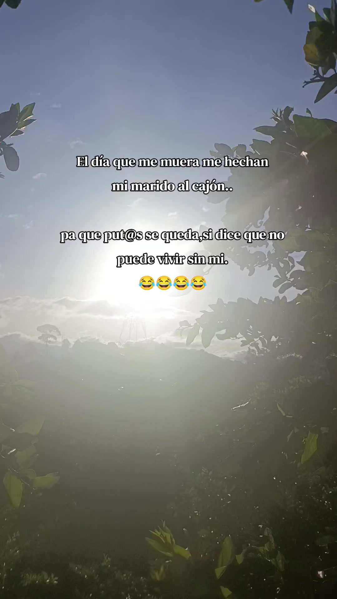 @Edisney Giraldo