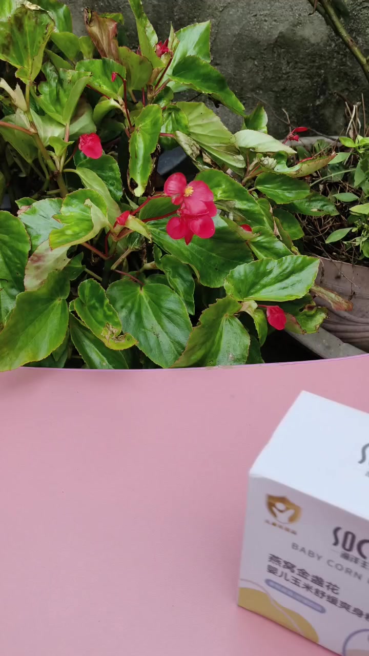 @Nguyễn Thiện Nhân