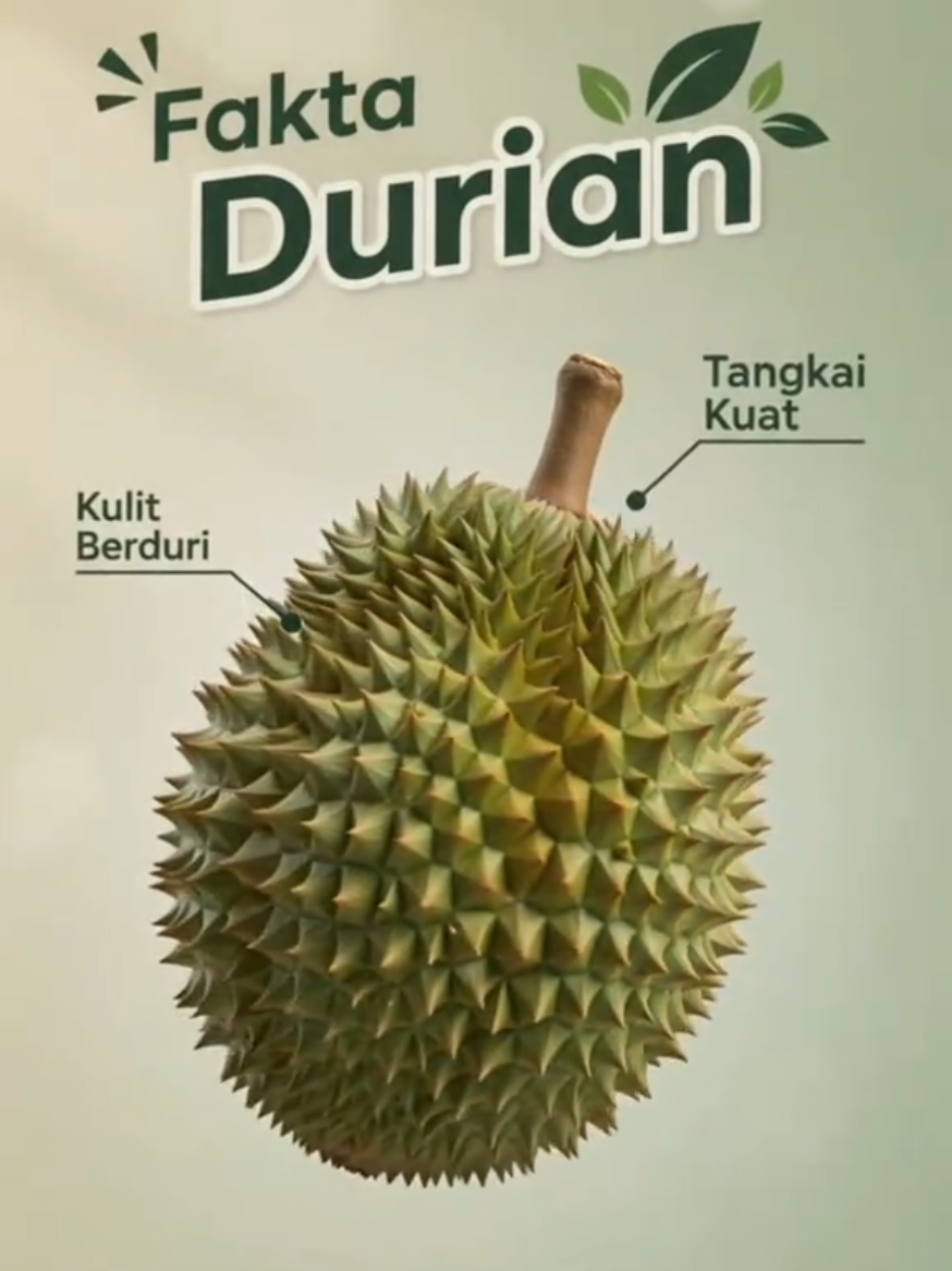 @Ƶⱥᵯ Ⱥƶīƶ
