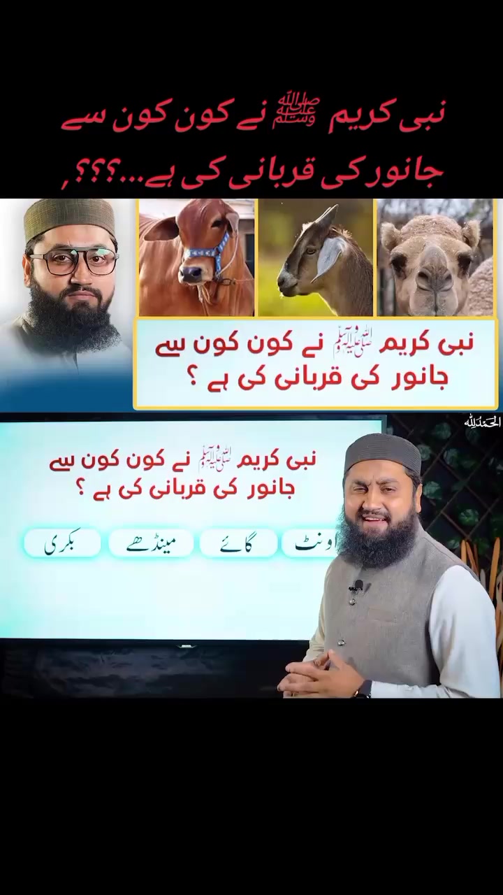 @꧁ᕯ❈Muhammad Saqib Attari❈ᕯ꧂i