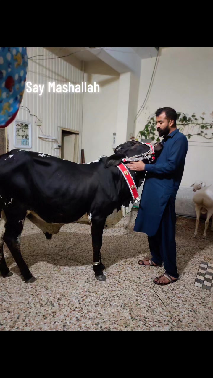 @Abdullah mughal zada
