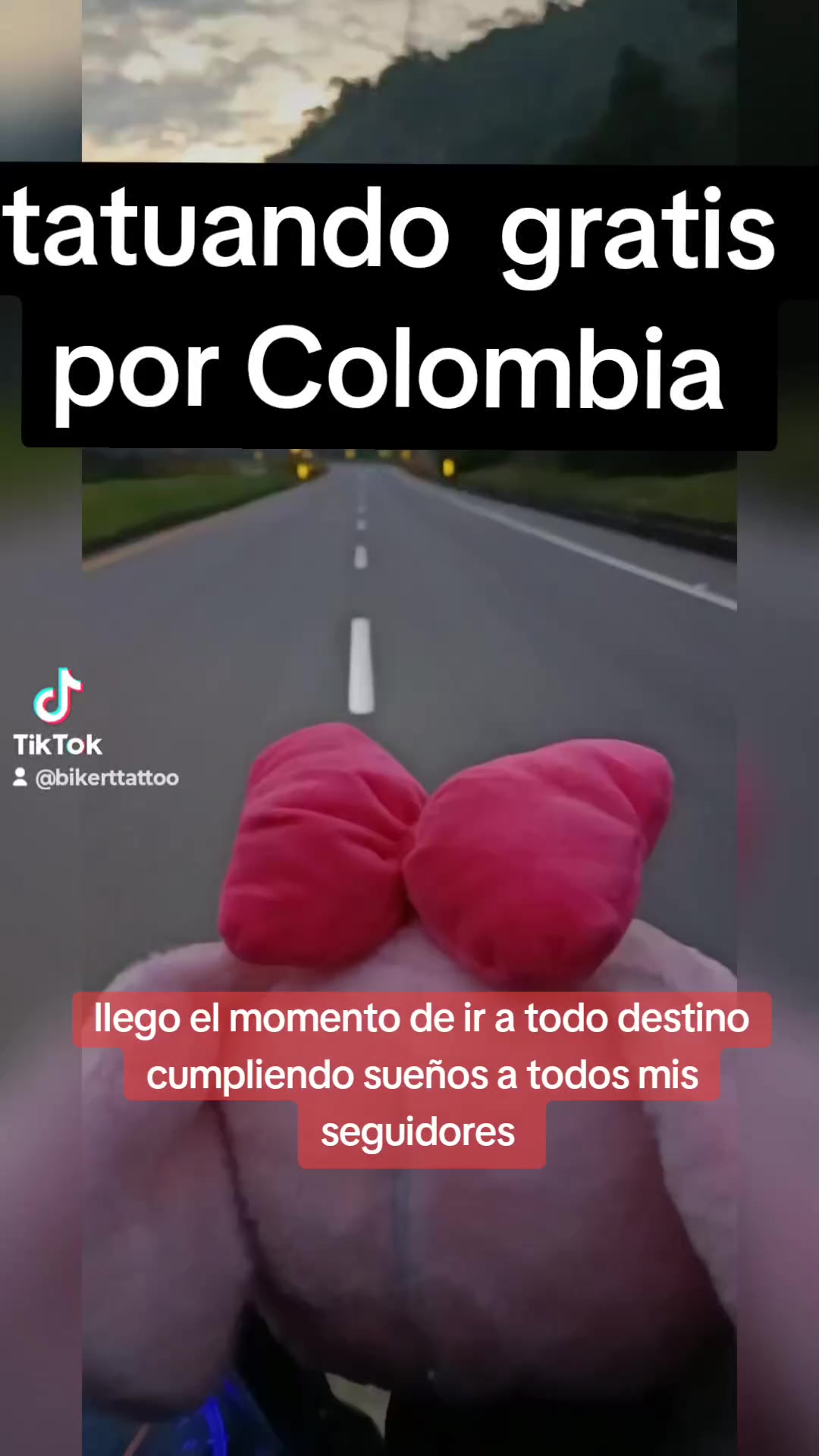 @bikerttattoo 🇨🇴bikerstich