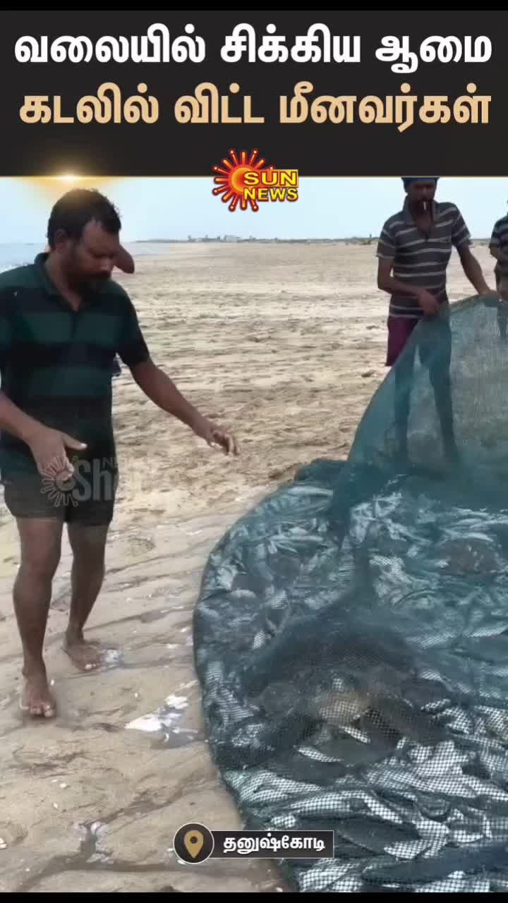 @KDP