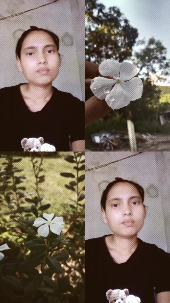 @Nitya_ mahato505