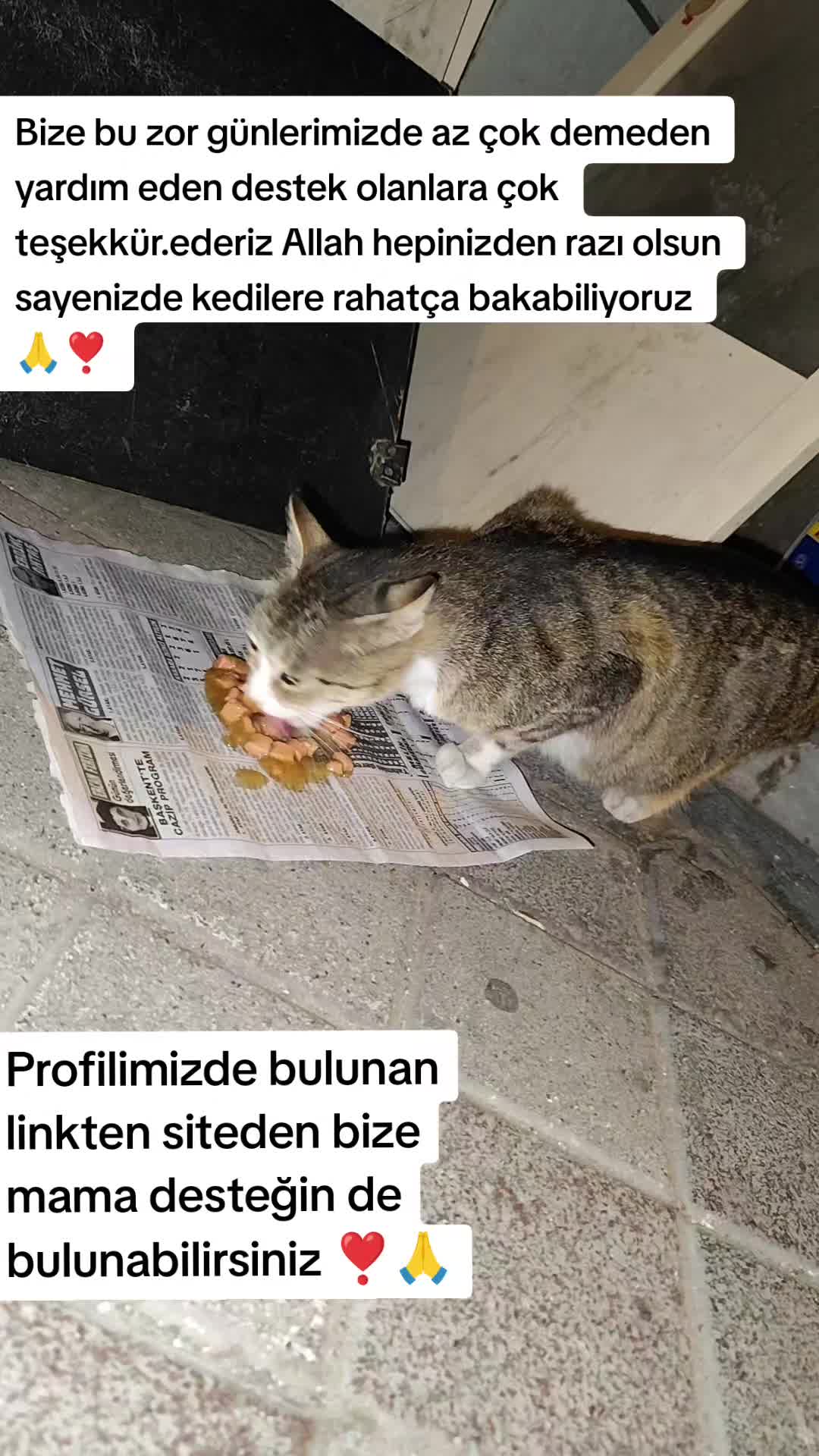 @@kedisizevolmaz