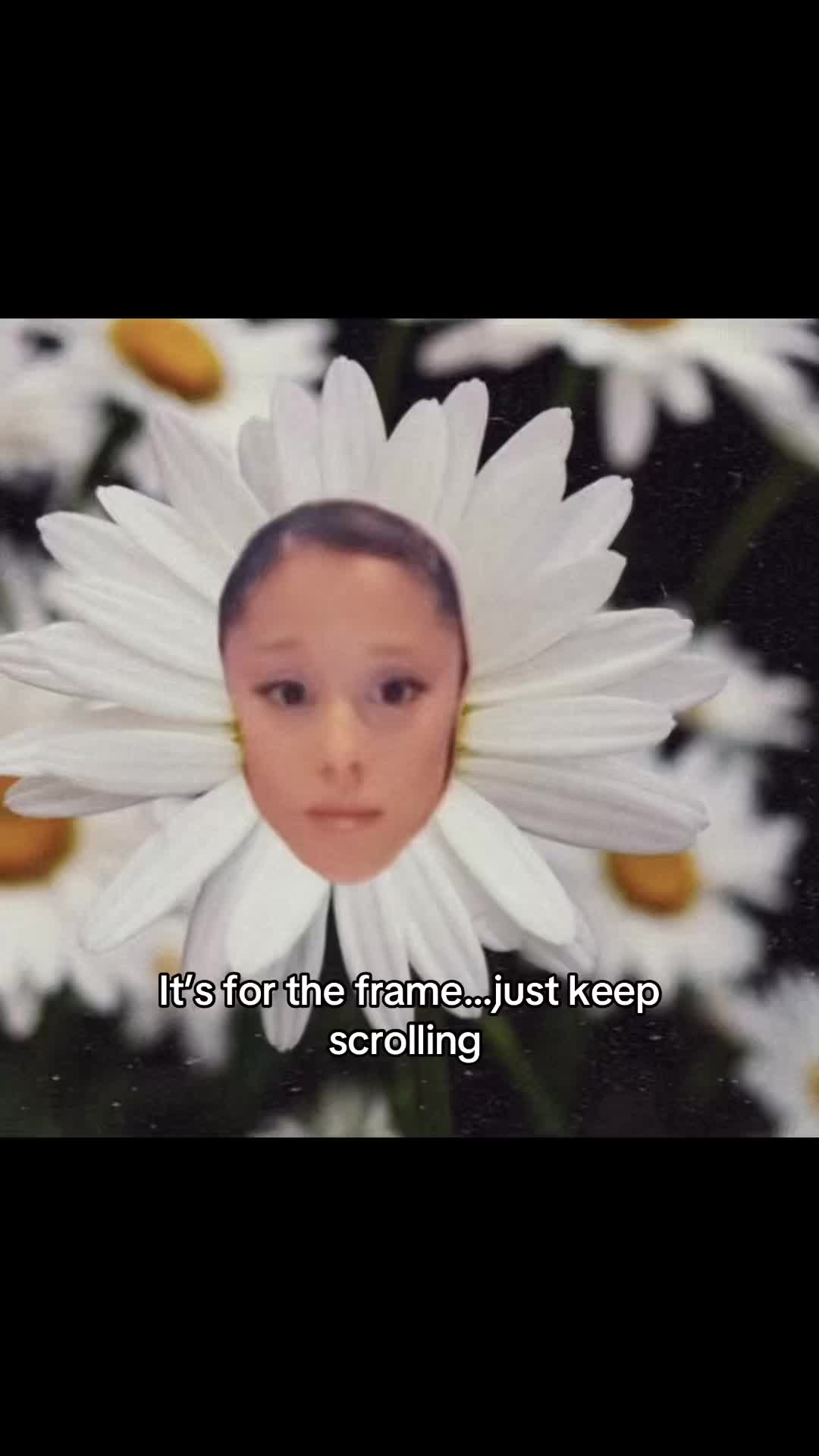 @eterxalsuxshixe ꕤ