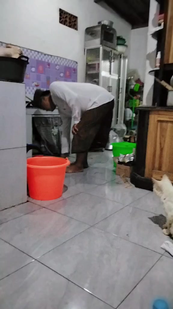 @Vera saja