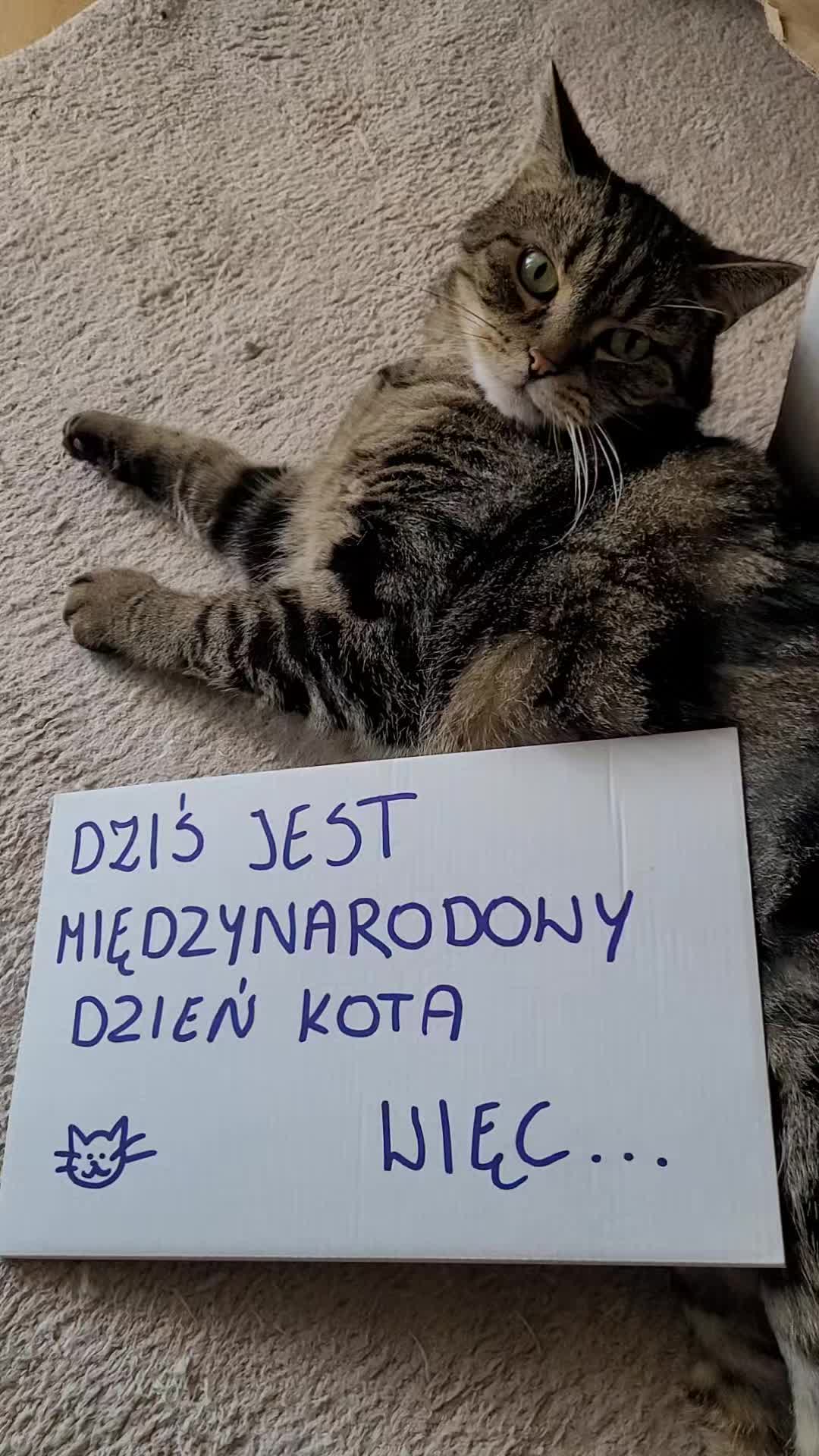 @😻Ekipa Świrka 😻