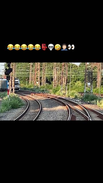@trainspotter_germany1995