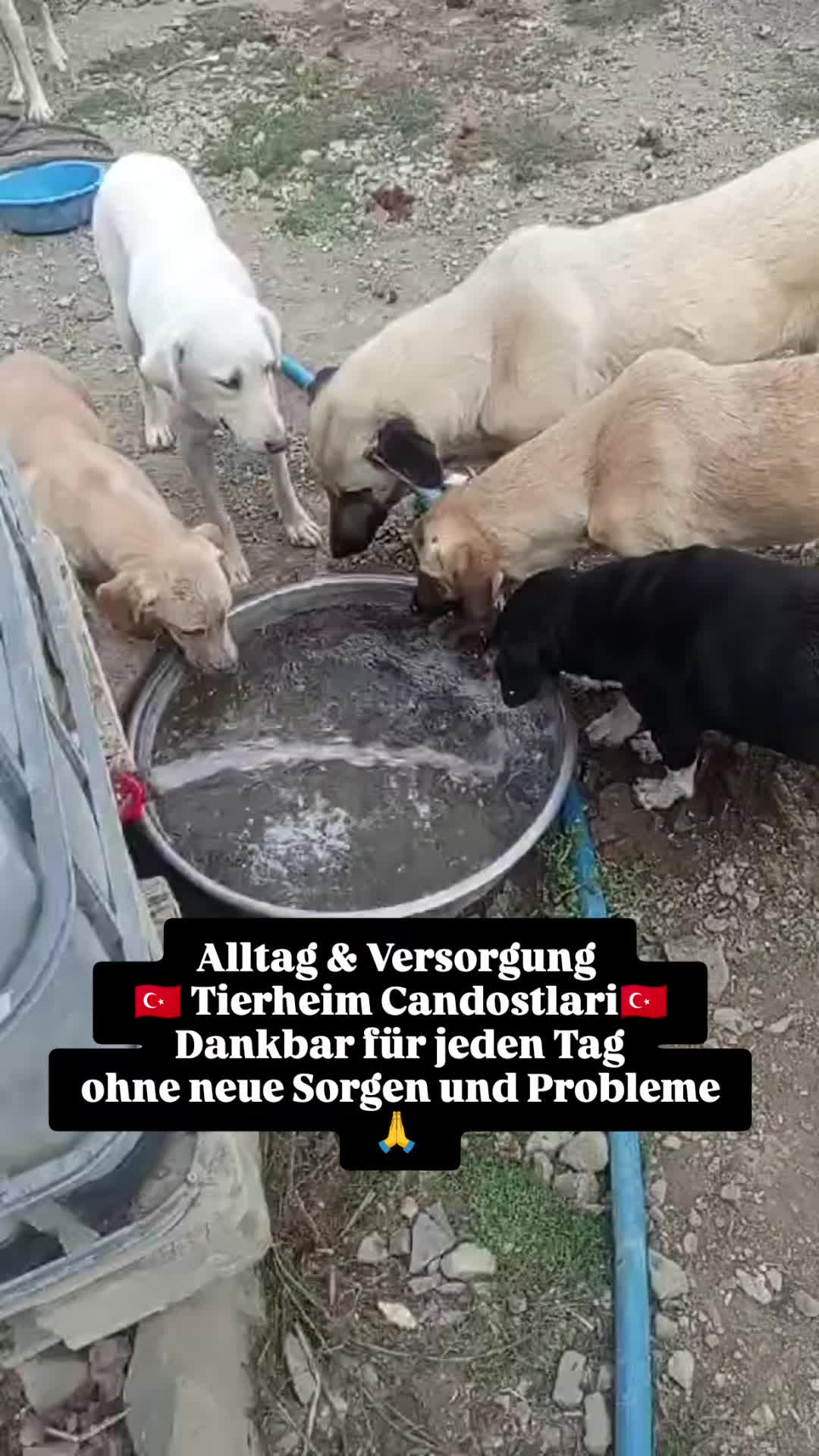 @TSV Candostlari-Beste Freunde