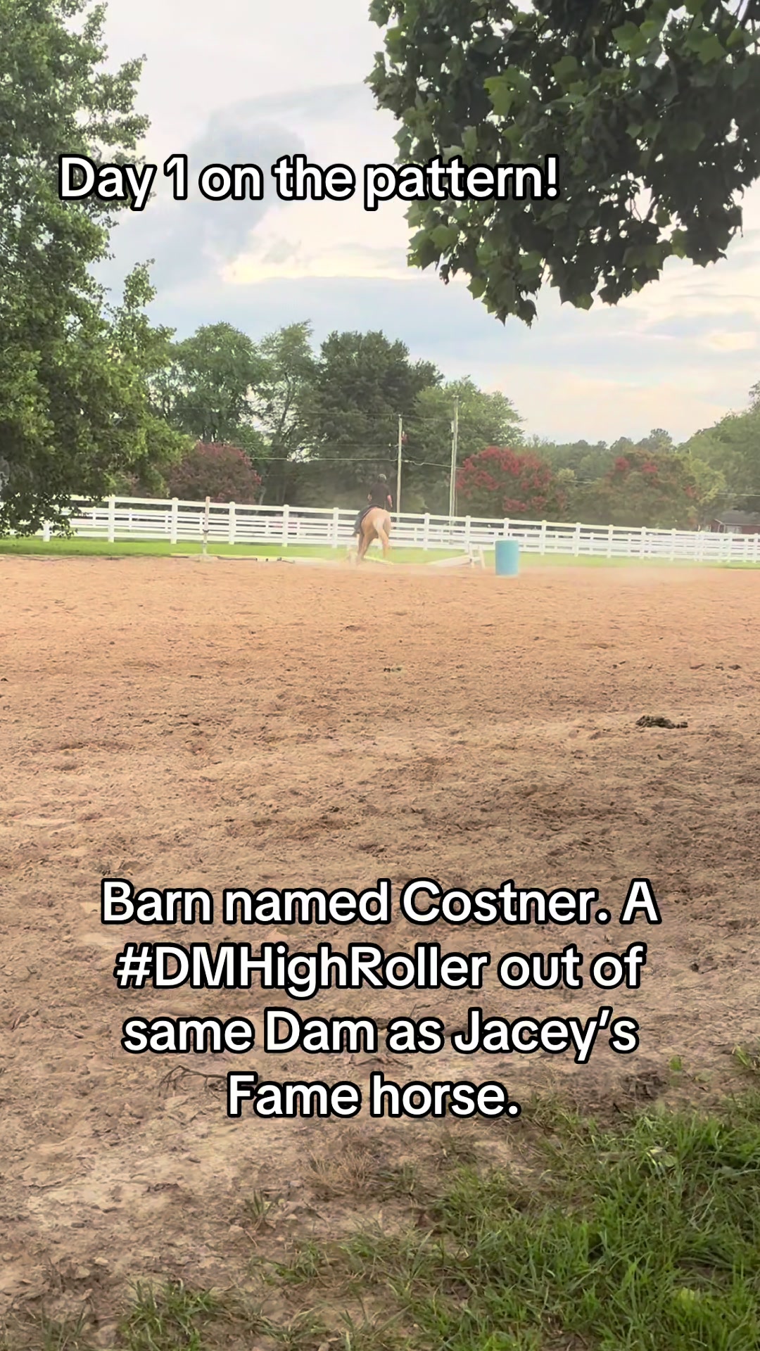 @Barrel racing dad