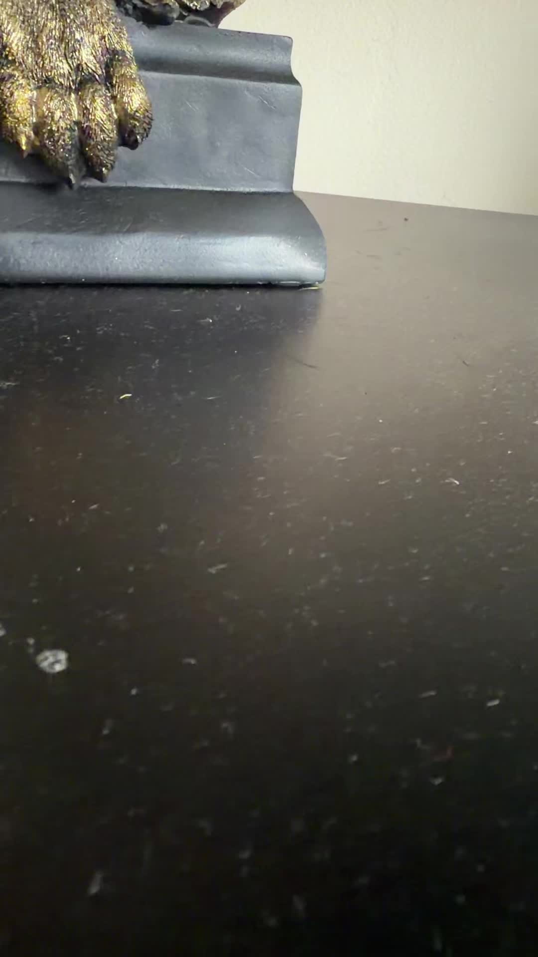 @Jayden_1220