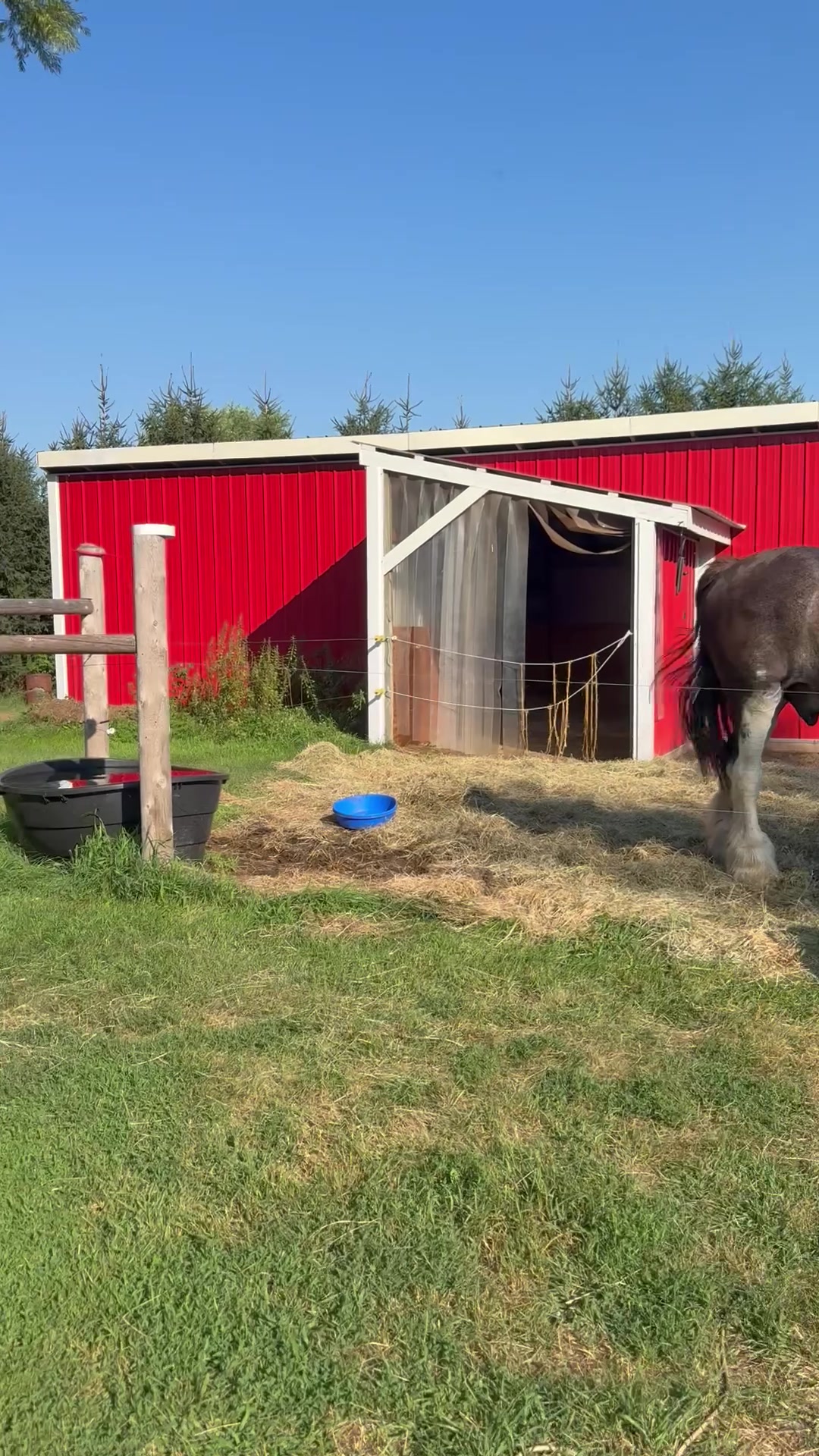 @Safe Place Pastures, Inc.