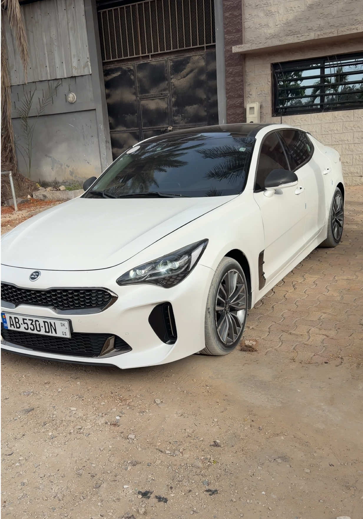 @DM Automobile