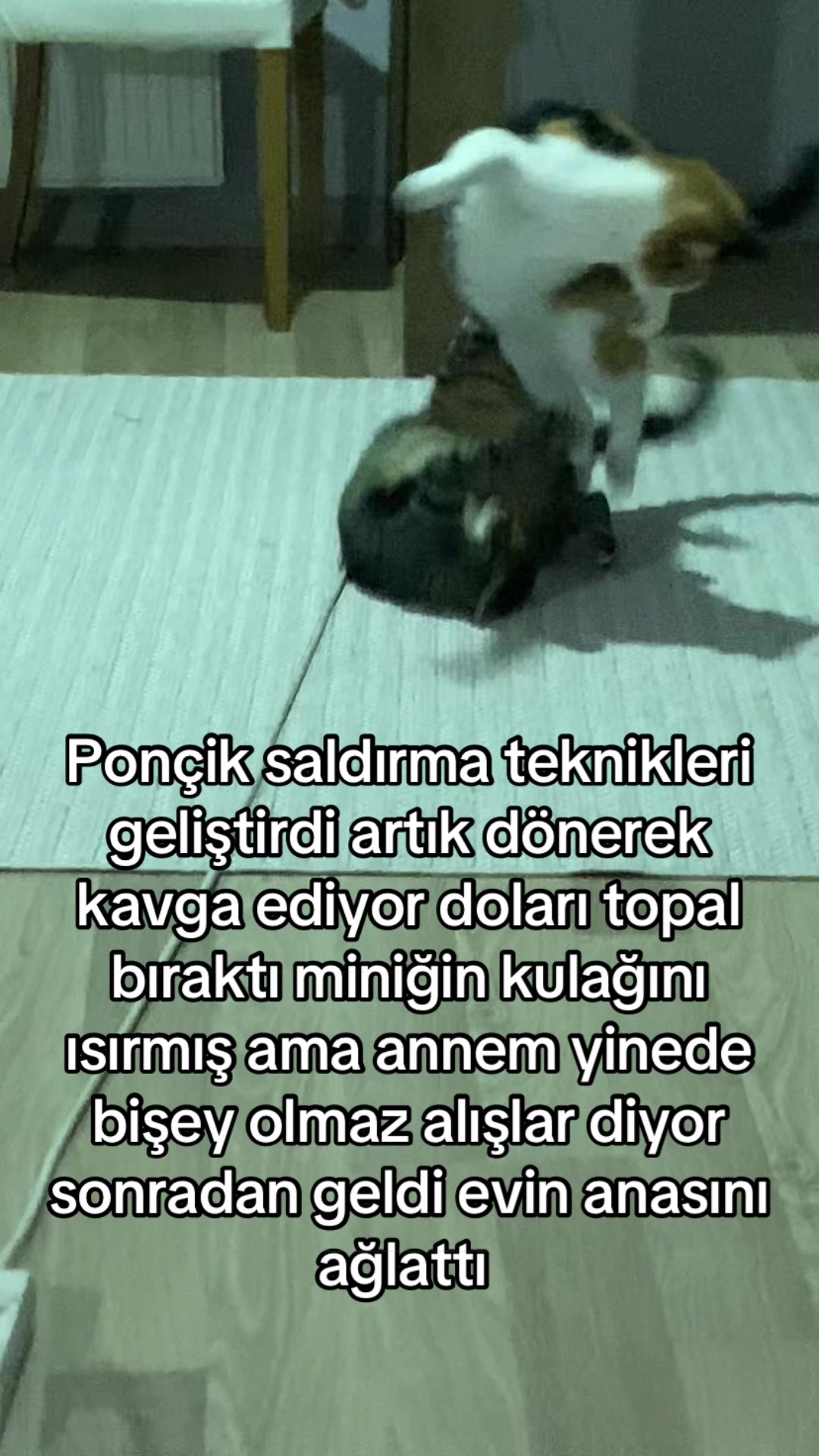 @yudummz_