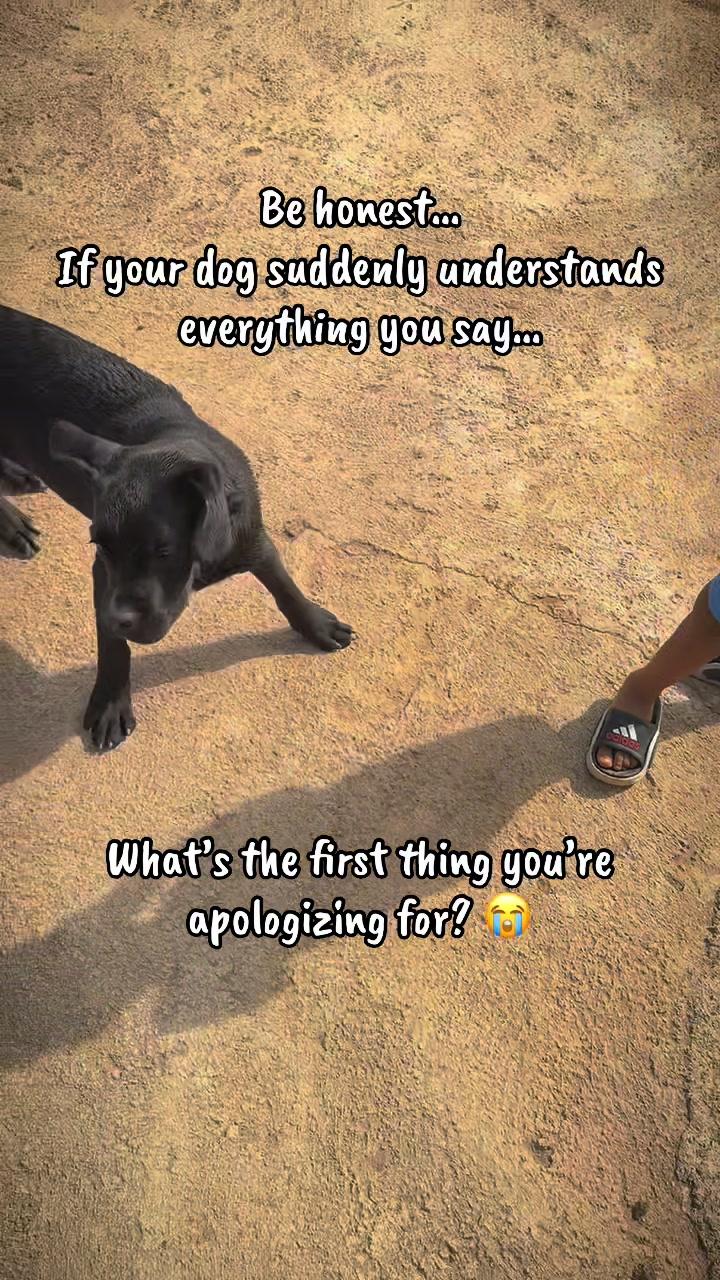 @Nala & Eshe 🦴🐶