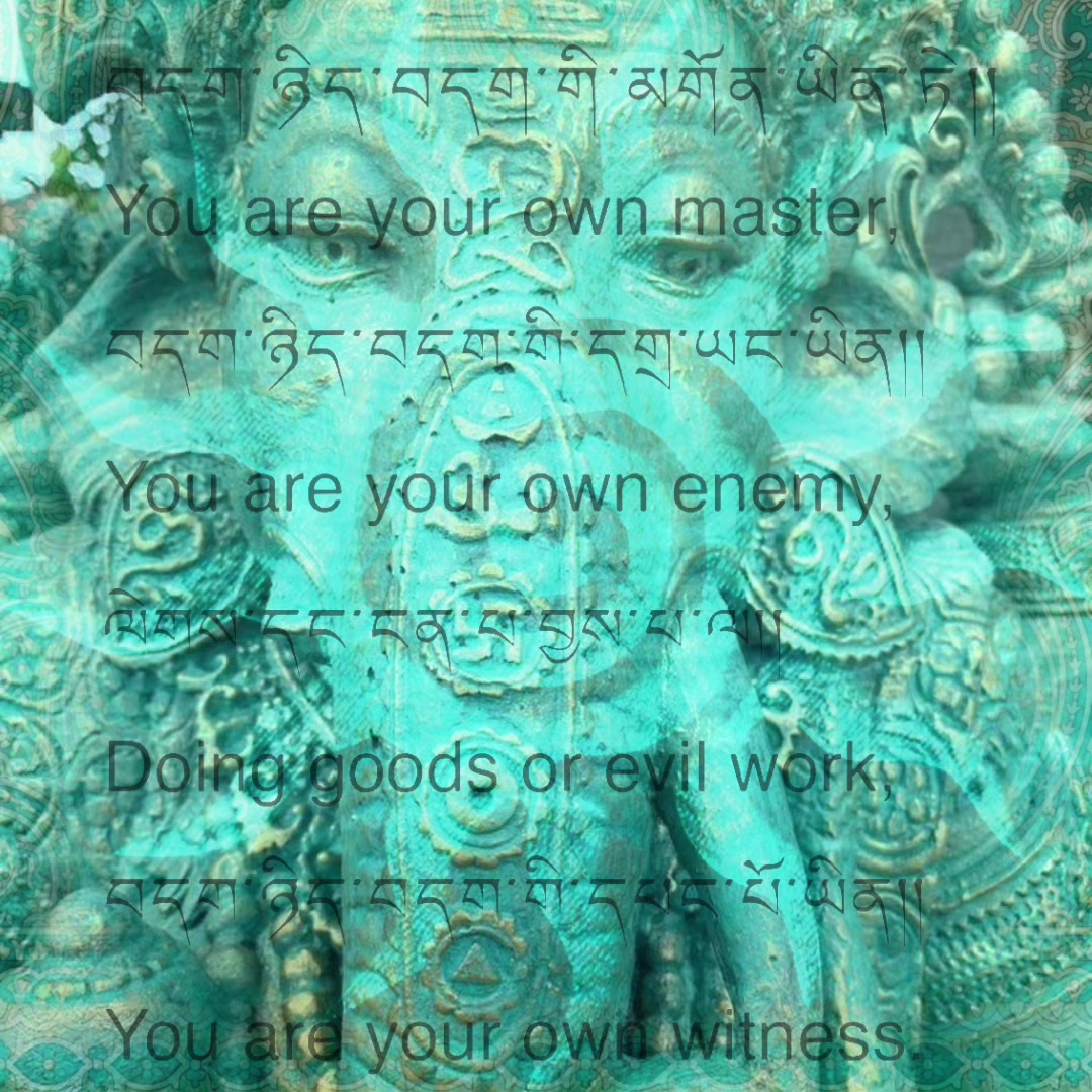 @🪷