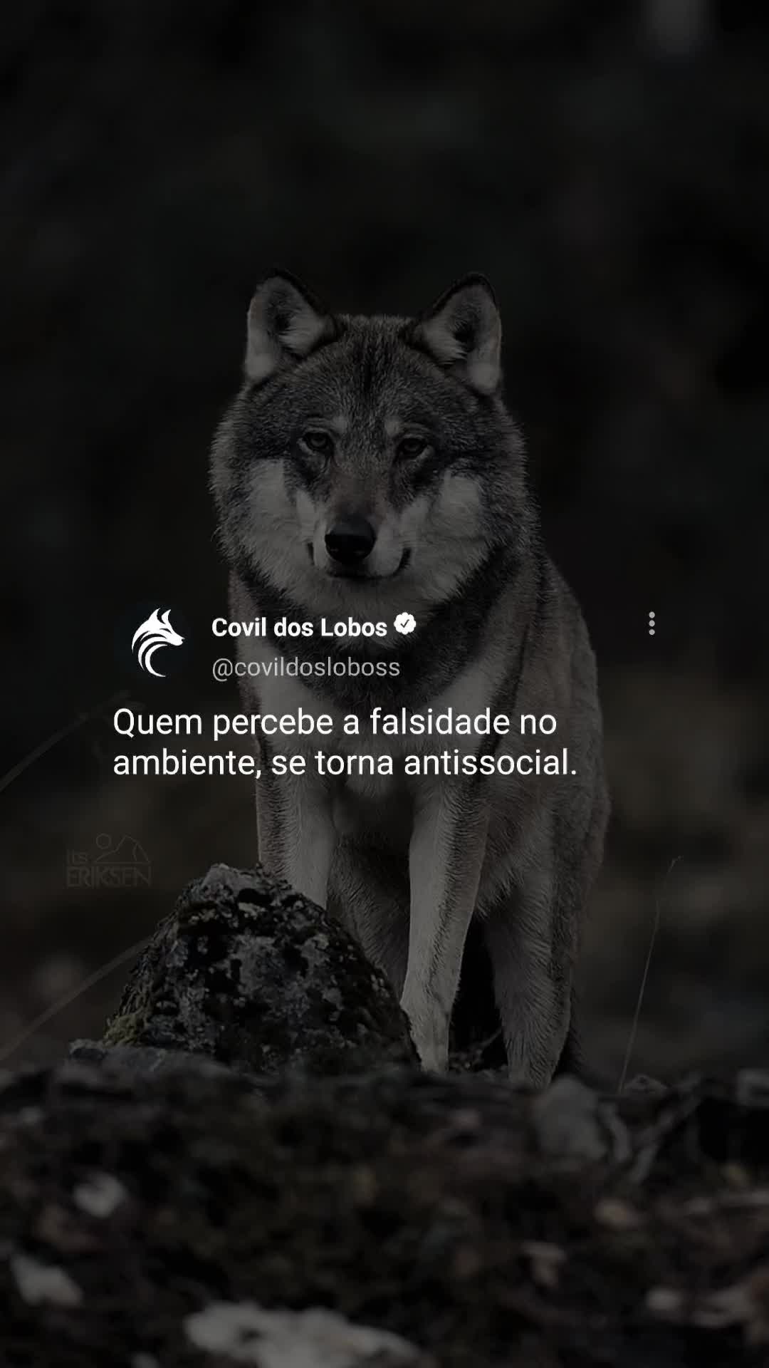 @Covil Dos Lobos
