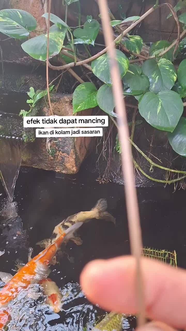 @Pakar boncos