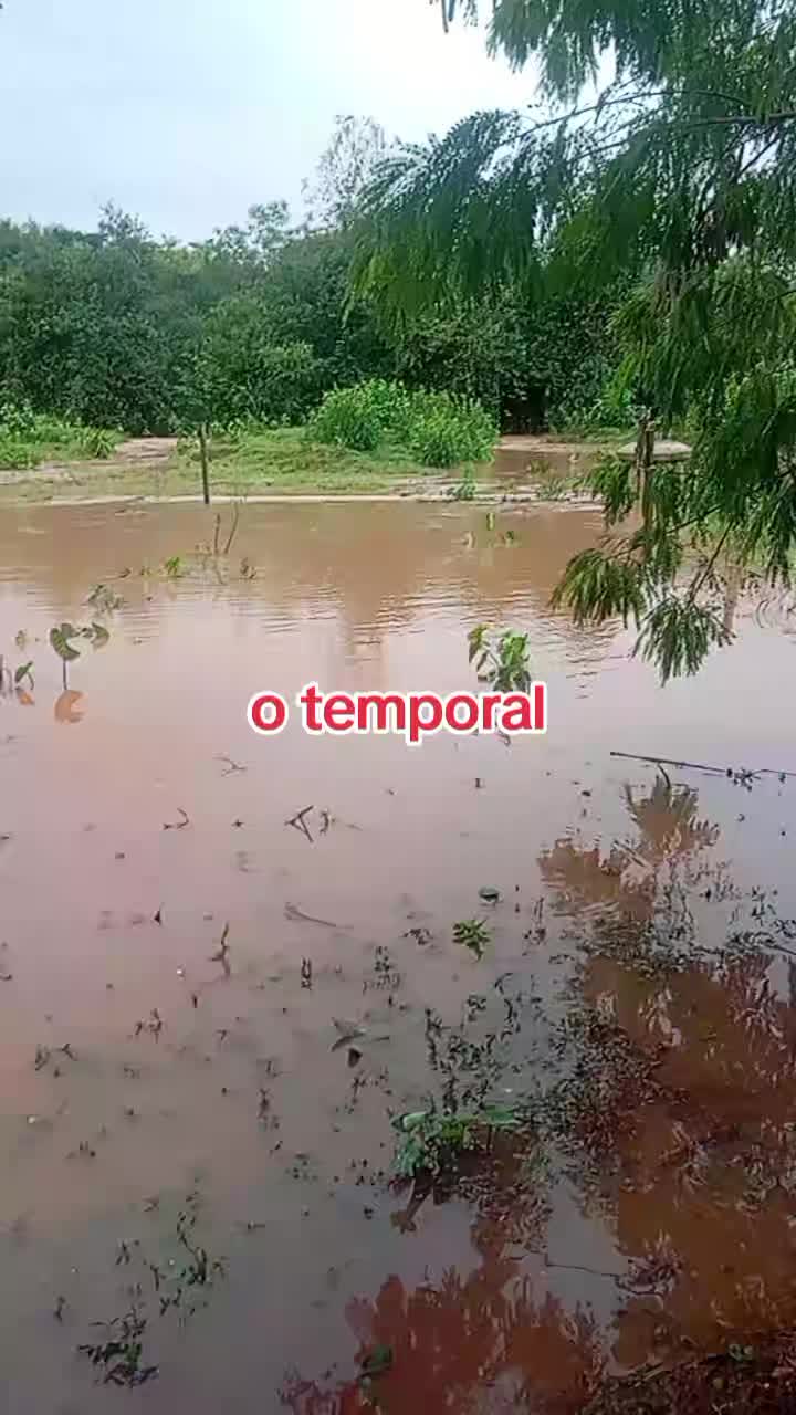@ALELUIA E VOVÓ ANA