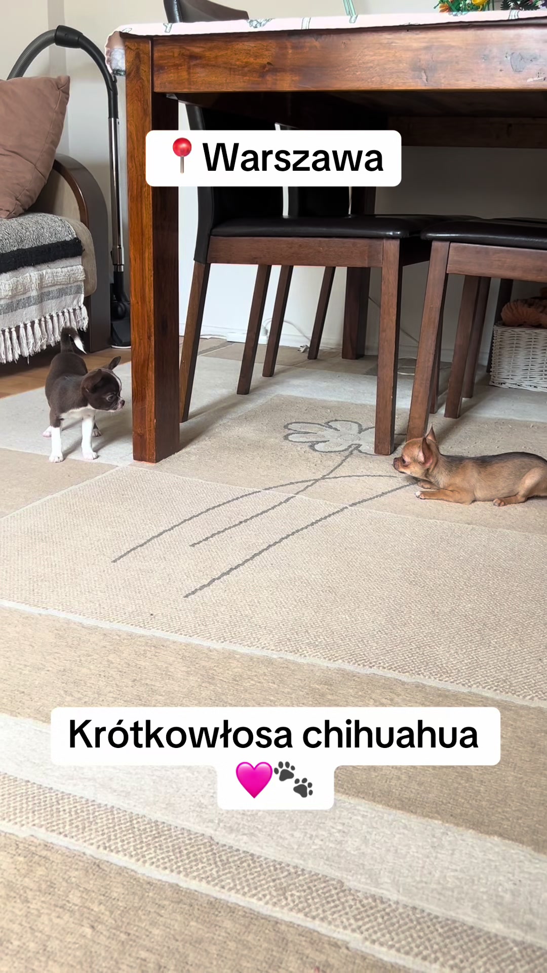 @Ulybki_lilu