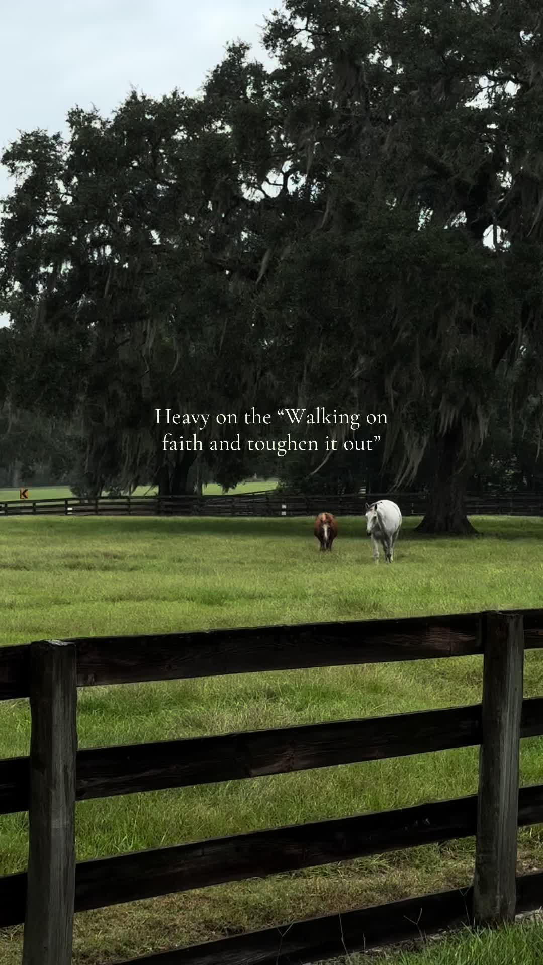 @countryroots_6_7_