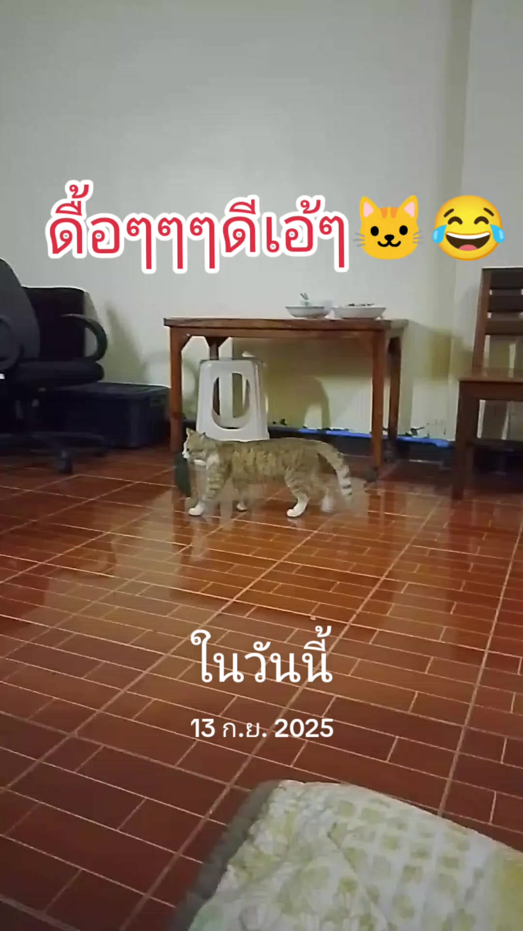 @Preeya Damdee