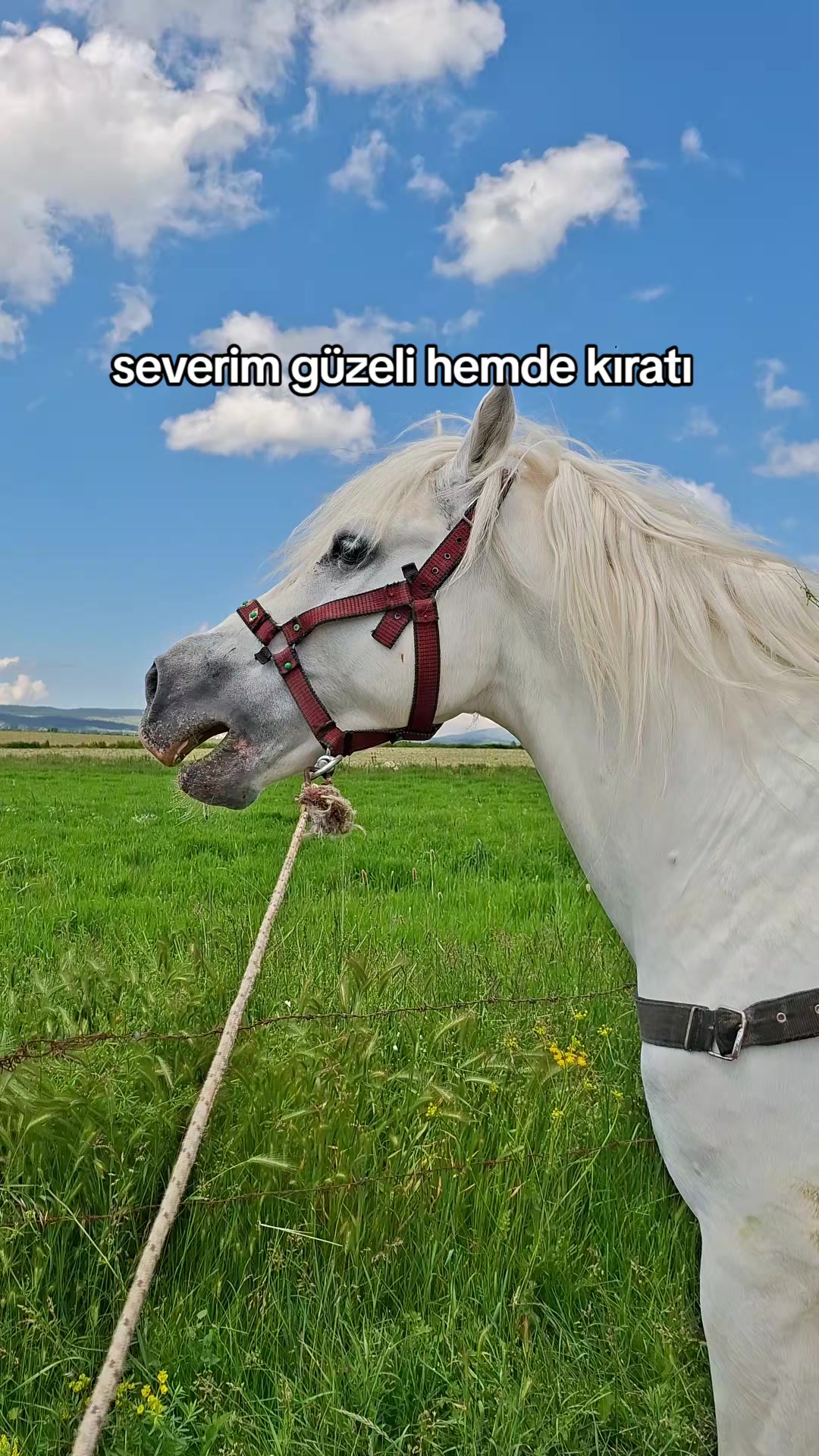 @Yusuf Ünal