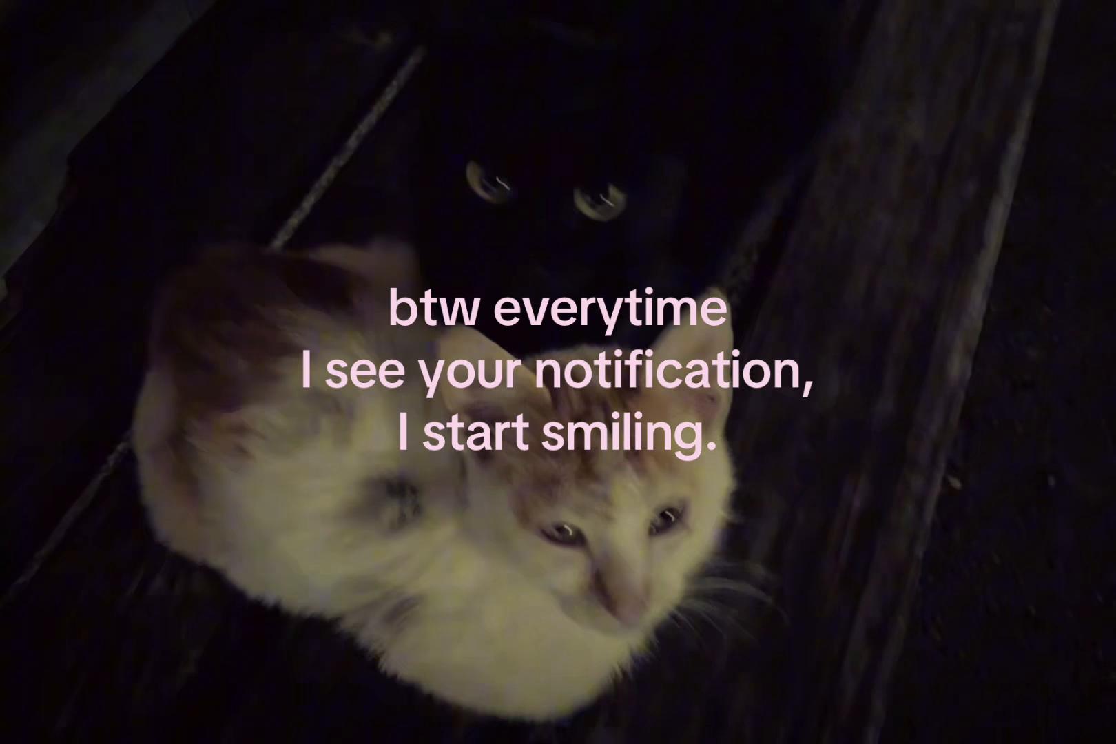 @sxalenz