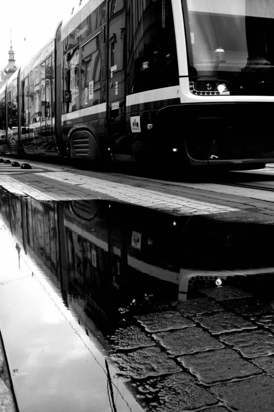 @B&W Photography