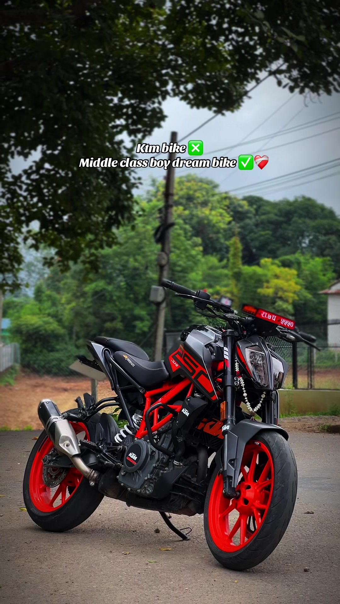 @ＴＯＲＱＵＥ_２５０ 💀