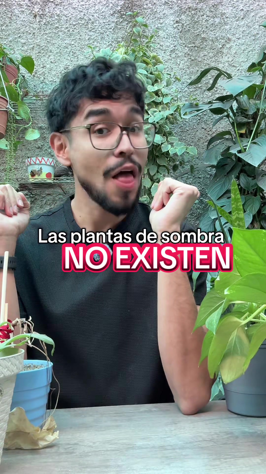 @Uriel el de las plantas