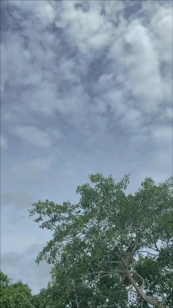 @A N M 🧃📌