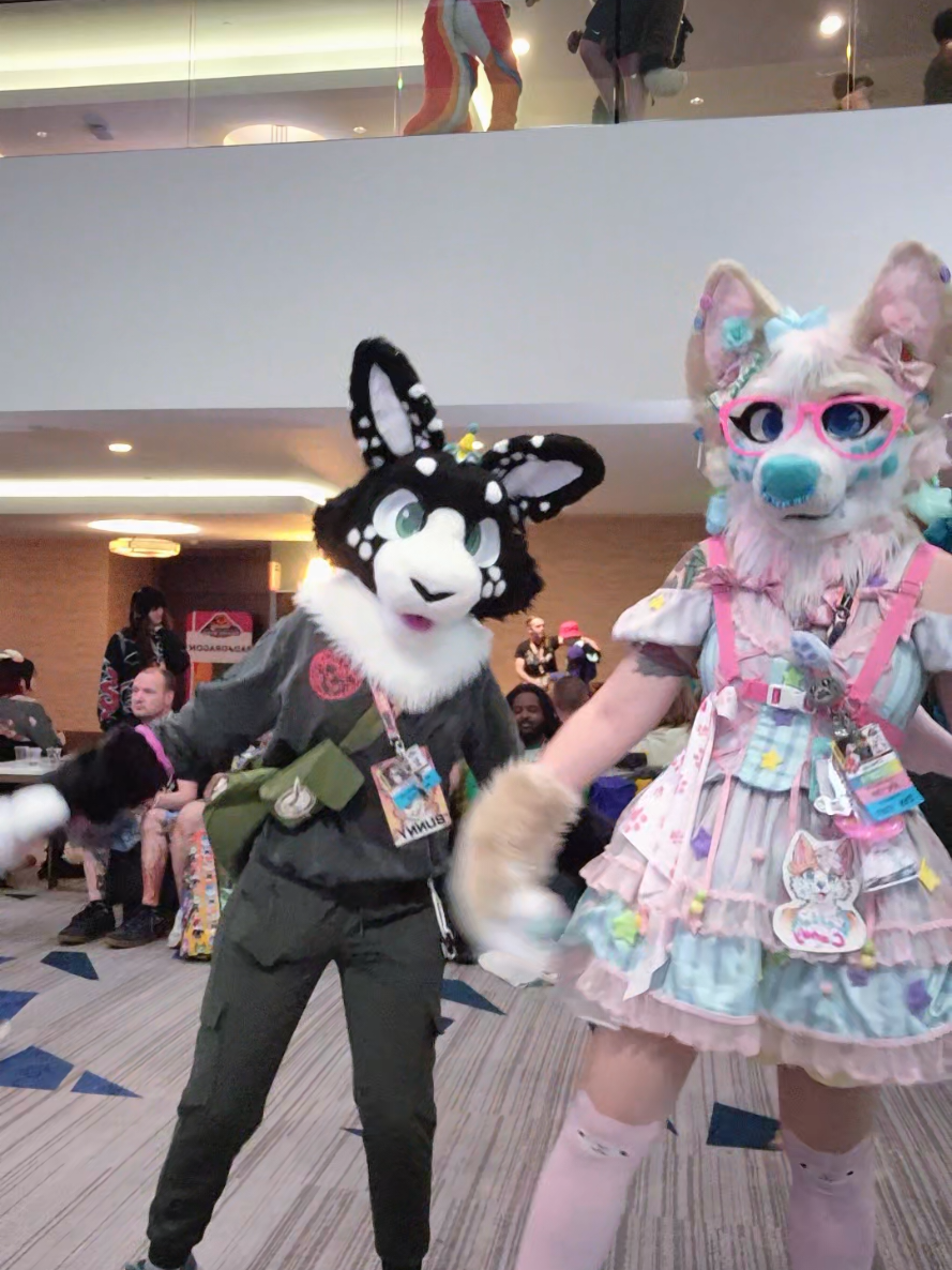 @CC the Corgi ๐ญ