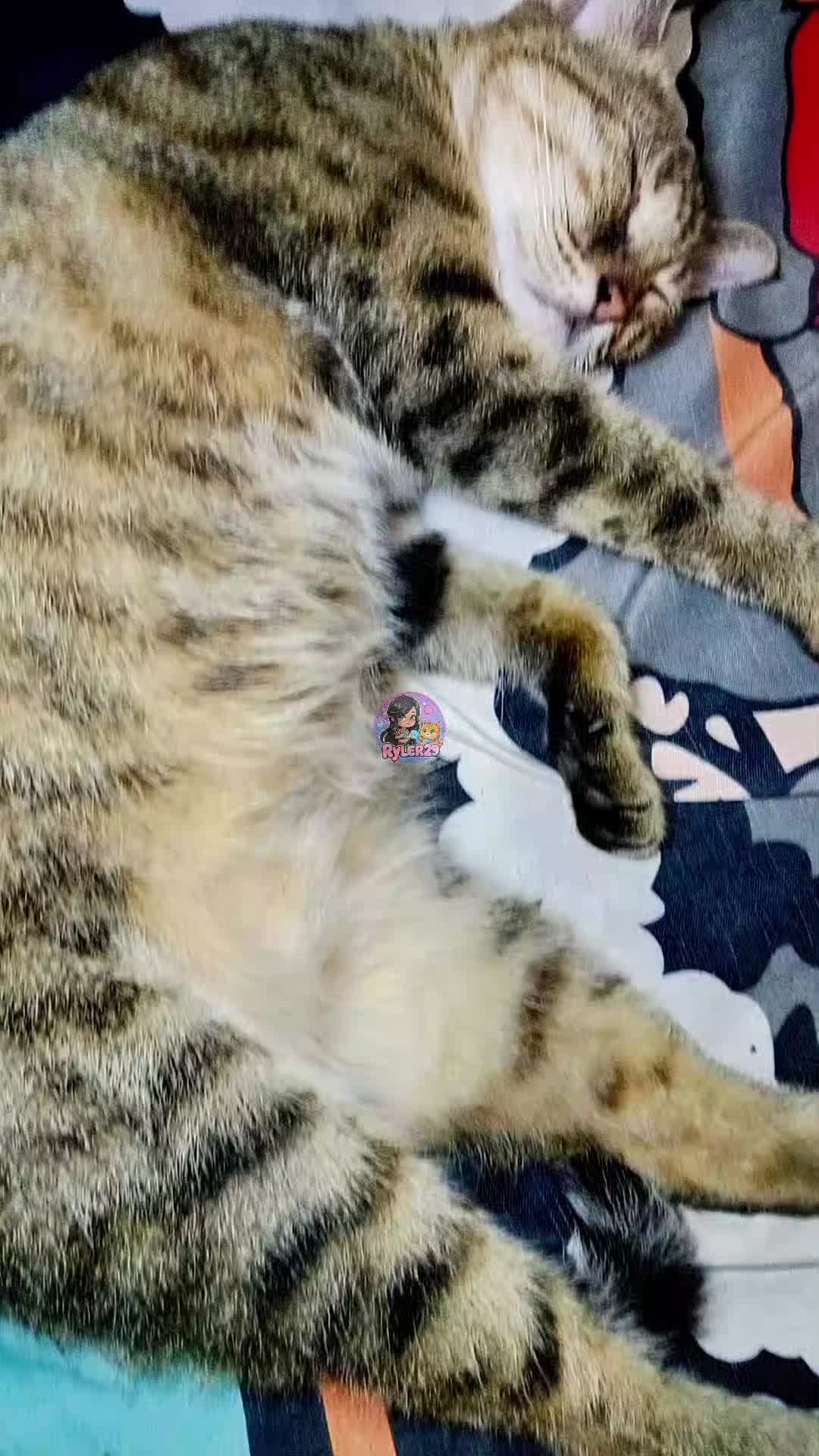 @ryler29🐱🎮🧶