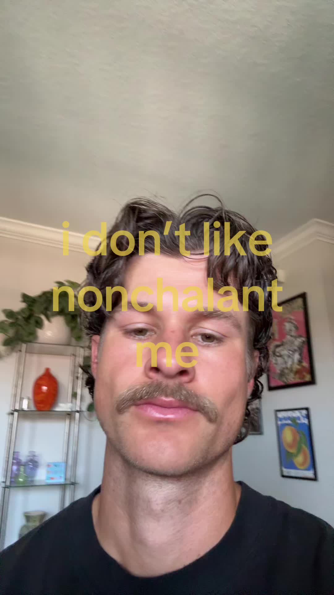 @shane