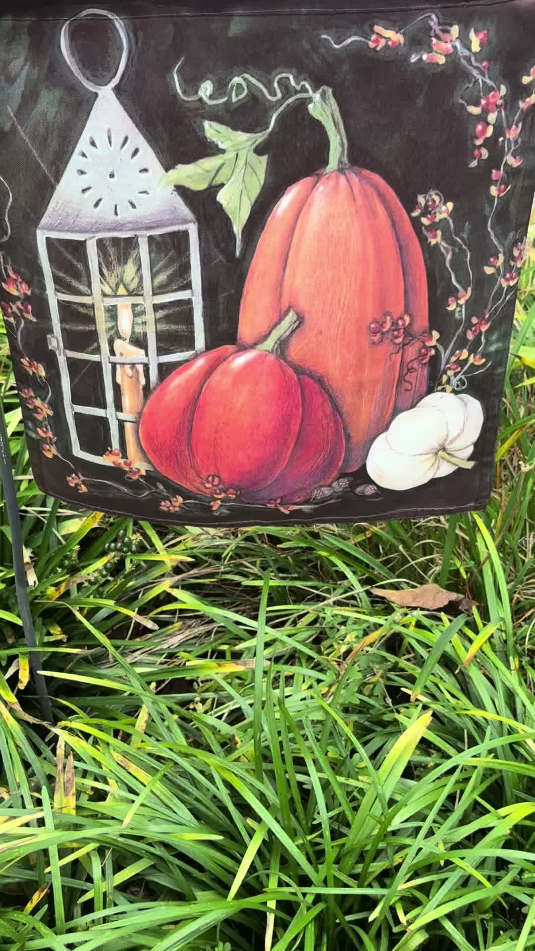 @Michoacanaallyzone
