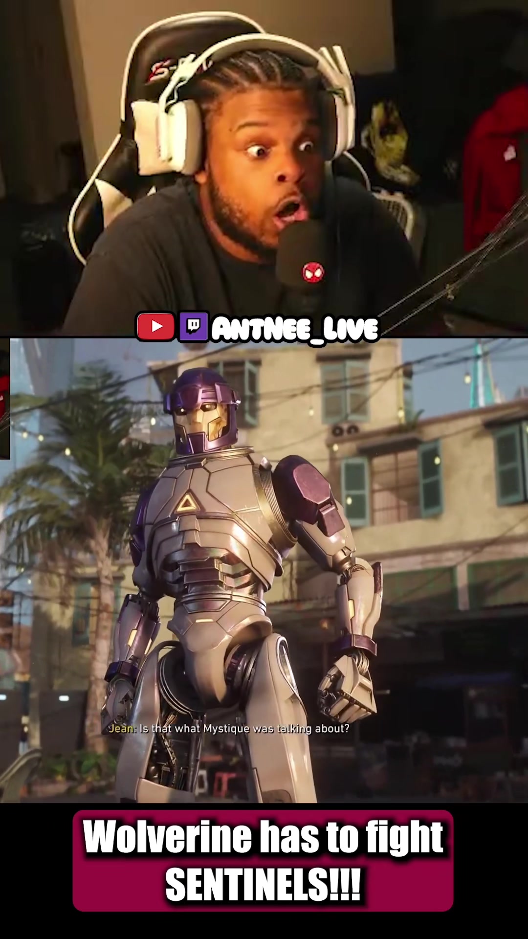 @AntNee Live