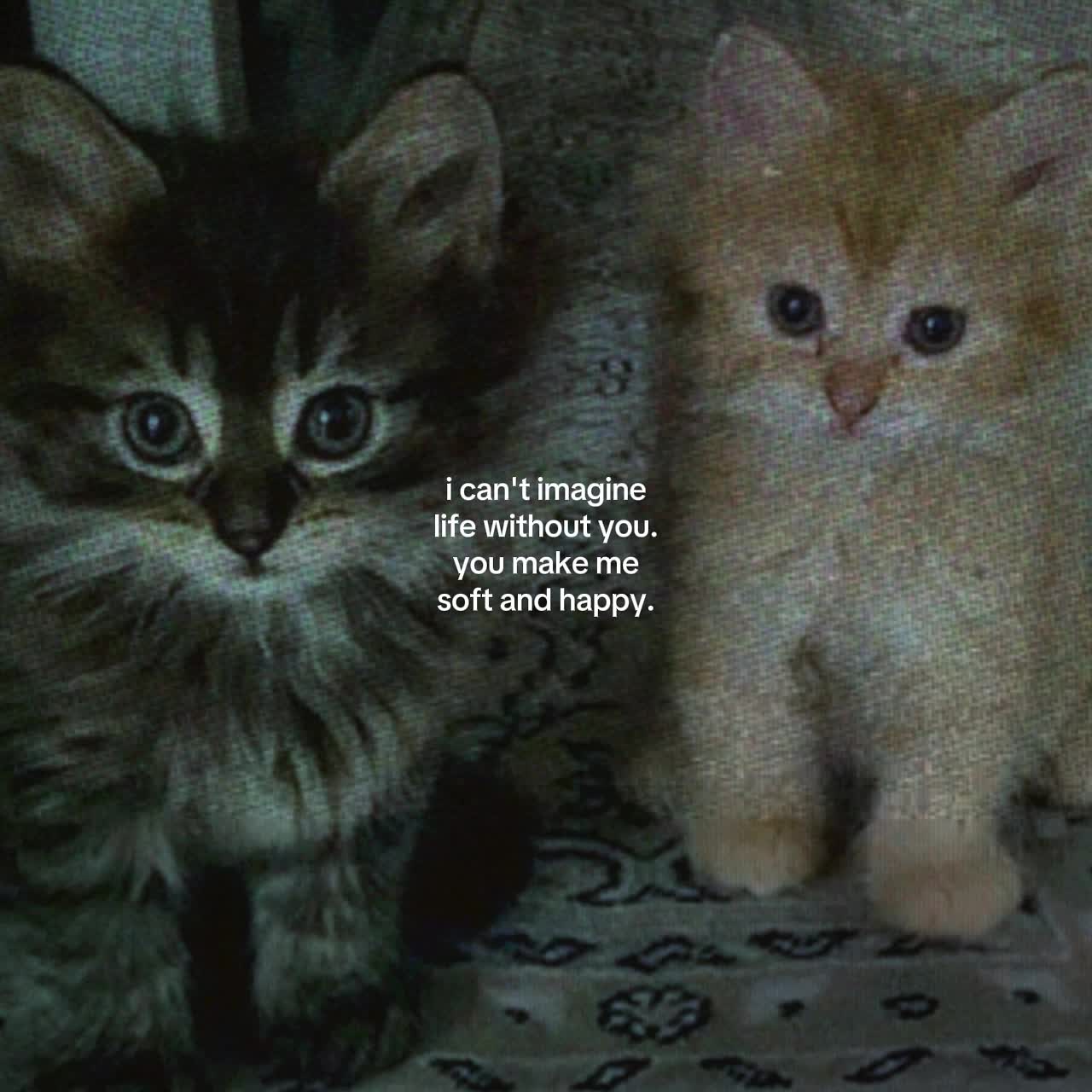 @Spotify: LXNYA
