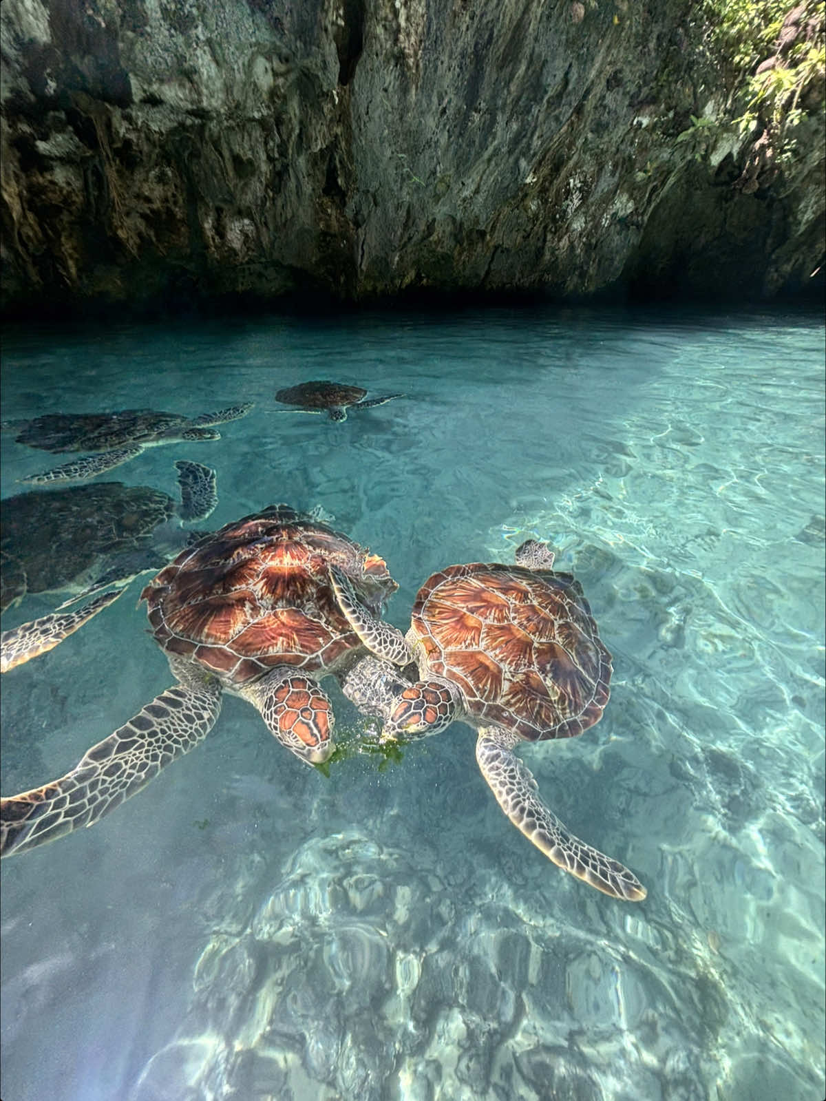 @Marine| Travel Planner Creator