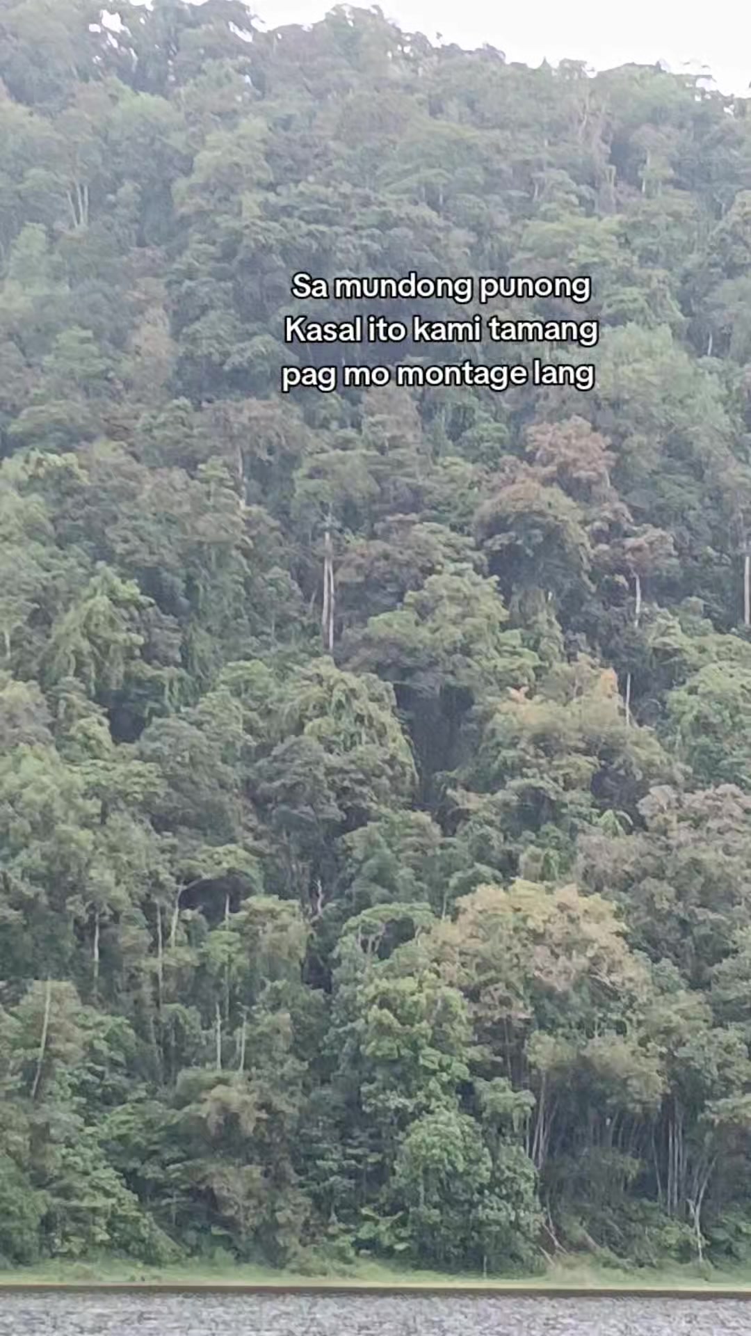 @Ar Ar