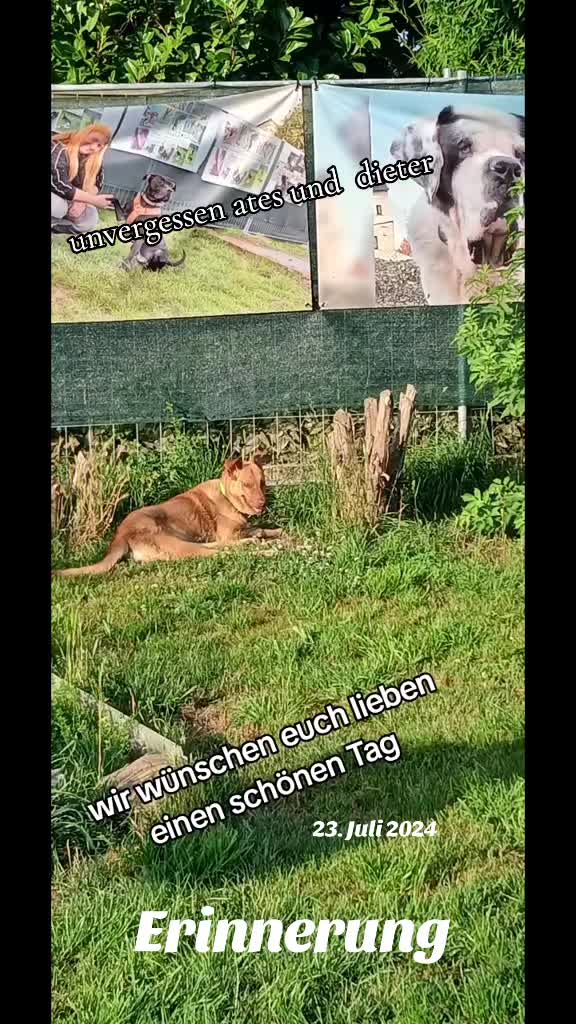 @Gnadenhof Zimmermann-Hesse